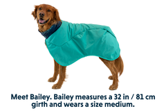 Used - Dirtbag™ Dog