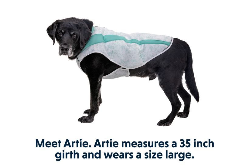 Swamp Cooler™ Cooling Dog Vest Ruffwear - Main Image