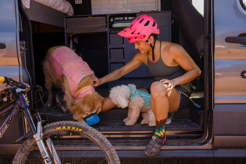 Swamp Cooler™ Cooling Dog Vest