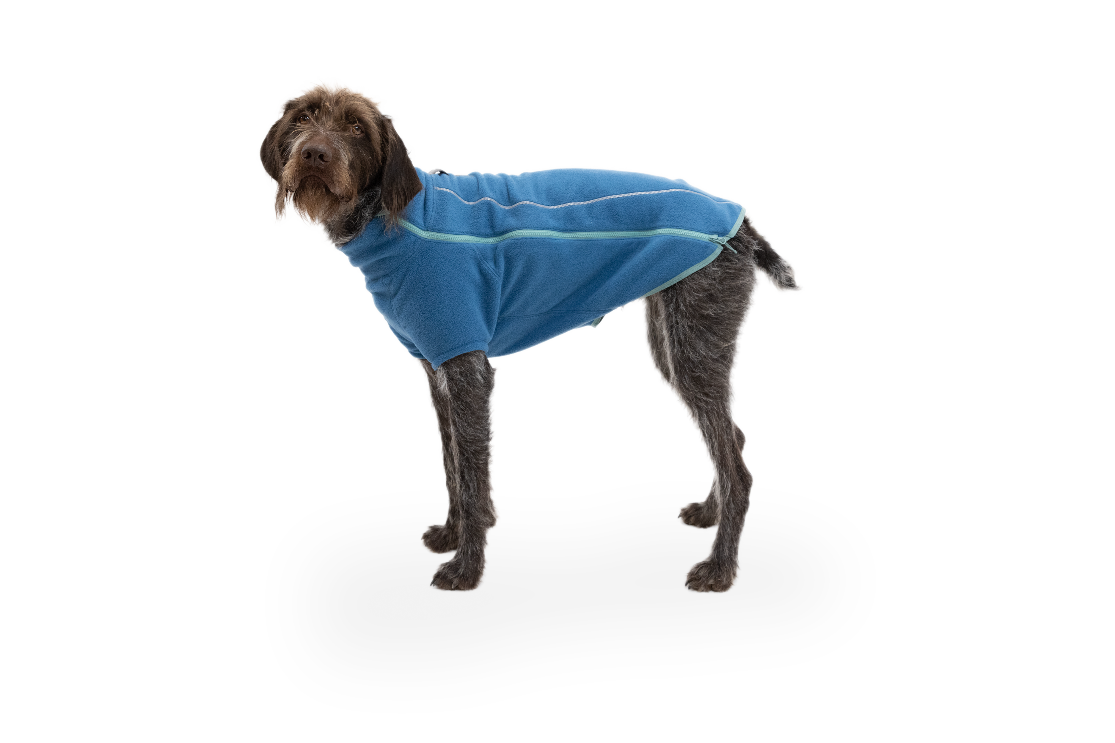 Ruffwear Climate Changer Fleece Dog Jacket - Blue Jay