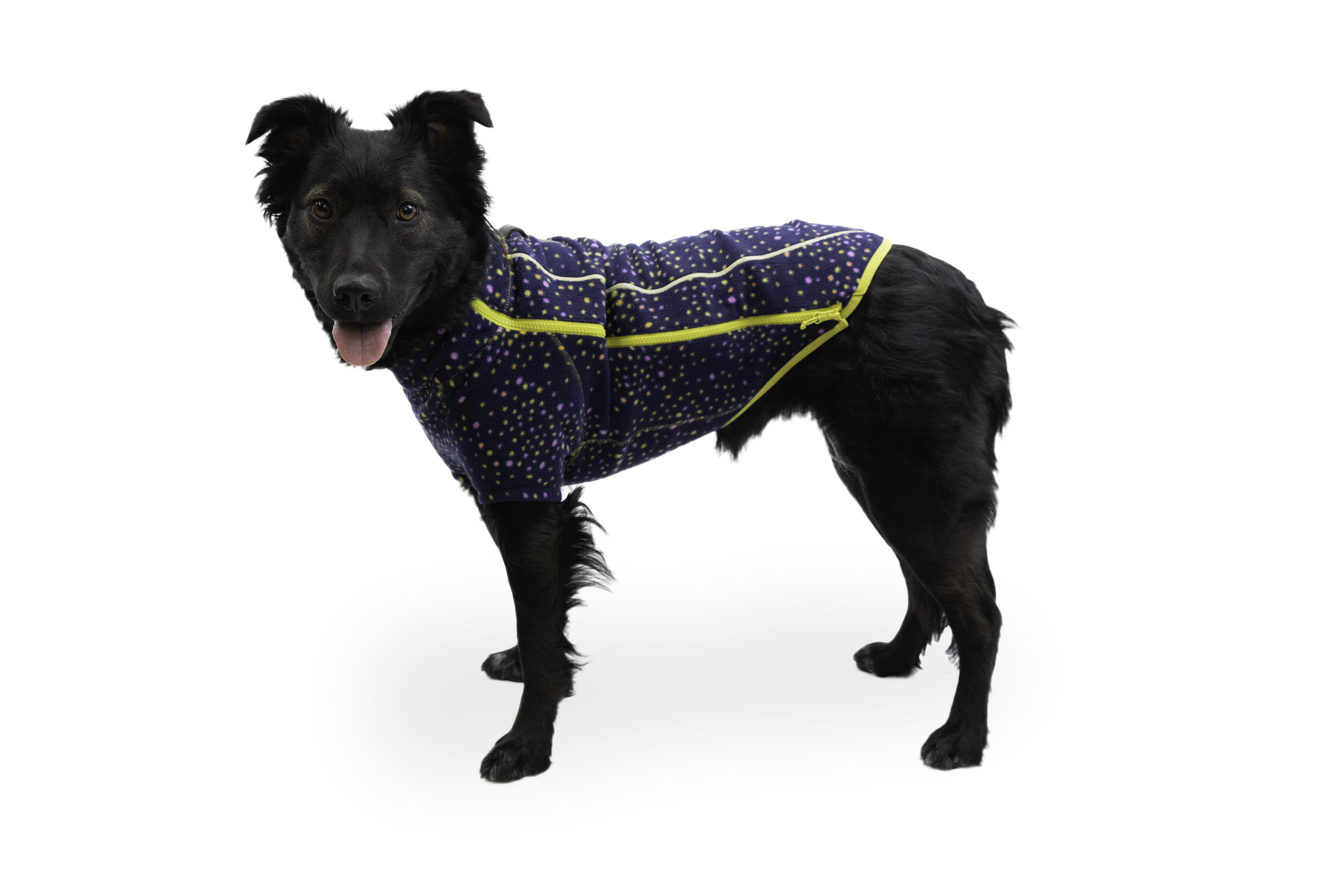 Ruffwear climate hot sale changer jacket