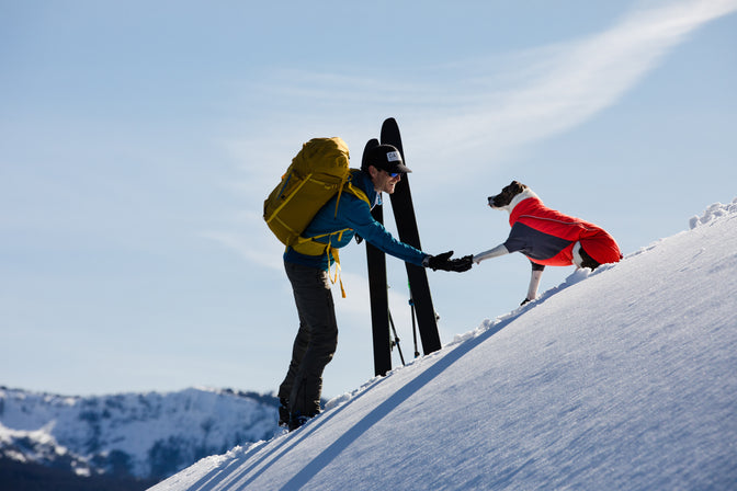 Skier shakes paw of dog in furness on snowy ridge.