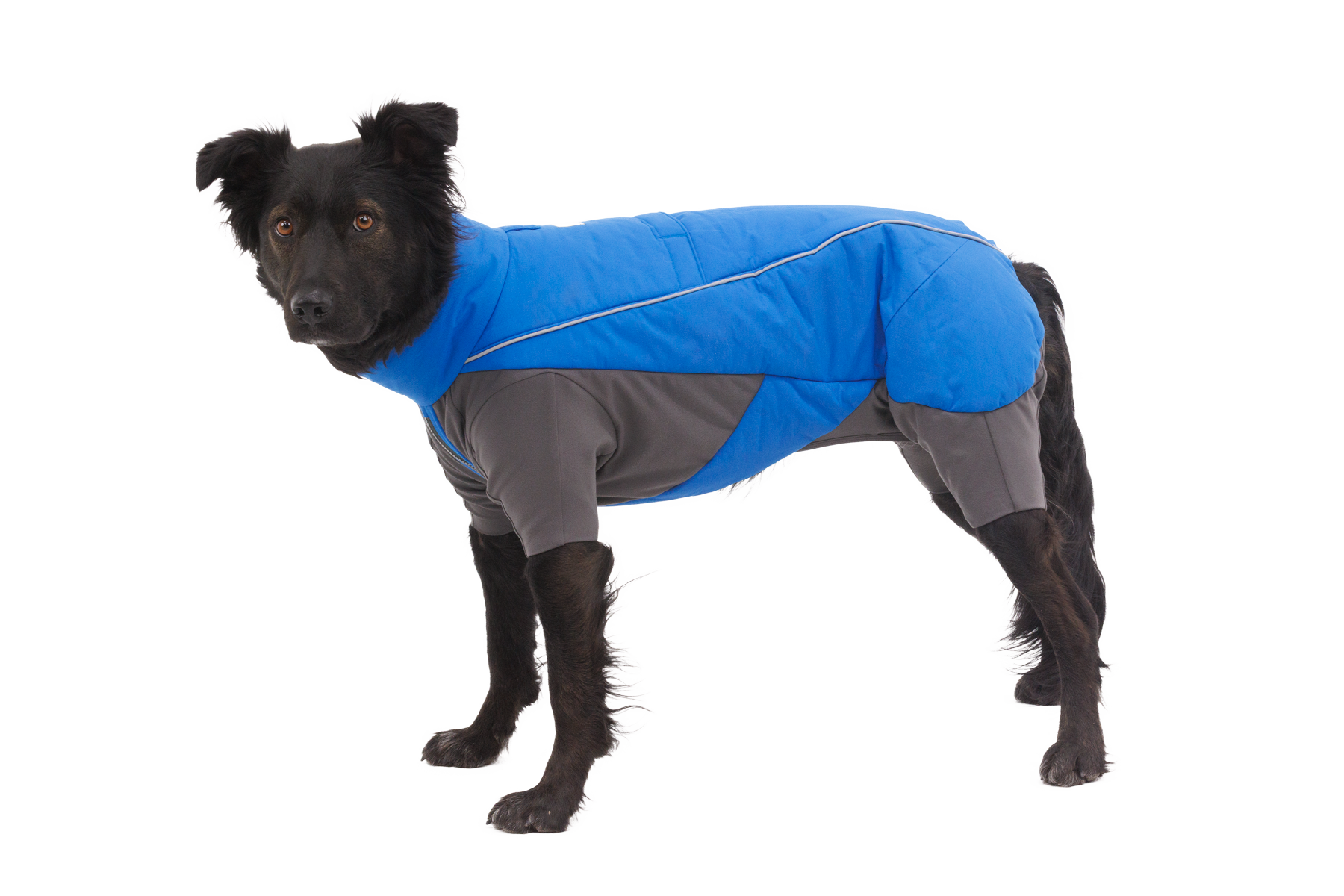 Ruffwear Vert Coverall Dog Snow Suit