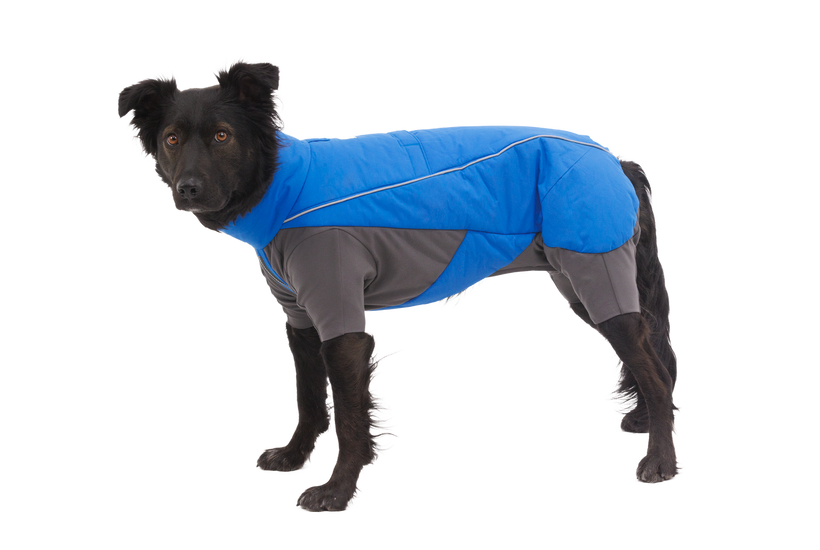 Used - Vert™ Coverall Dog Sno