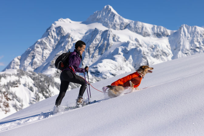 Woman hikes up snowy hill with her dog in the mountains.