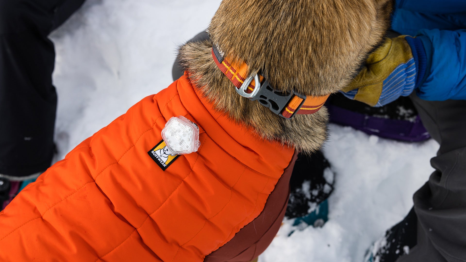 Ruffwear jacket hot sale