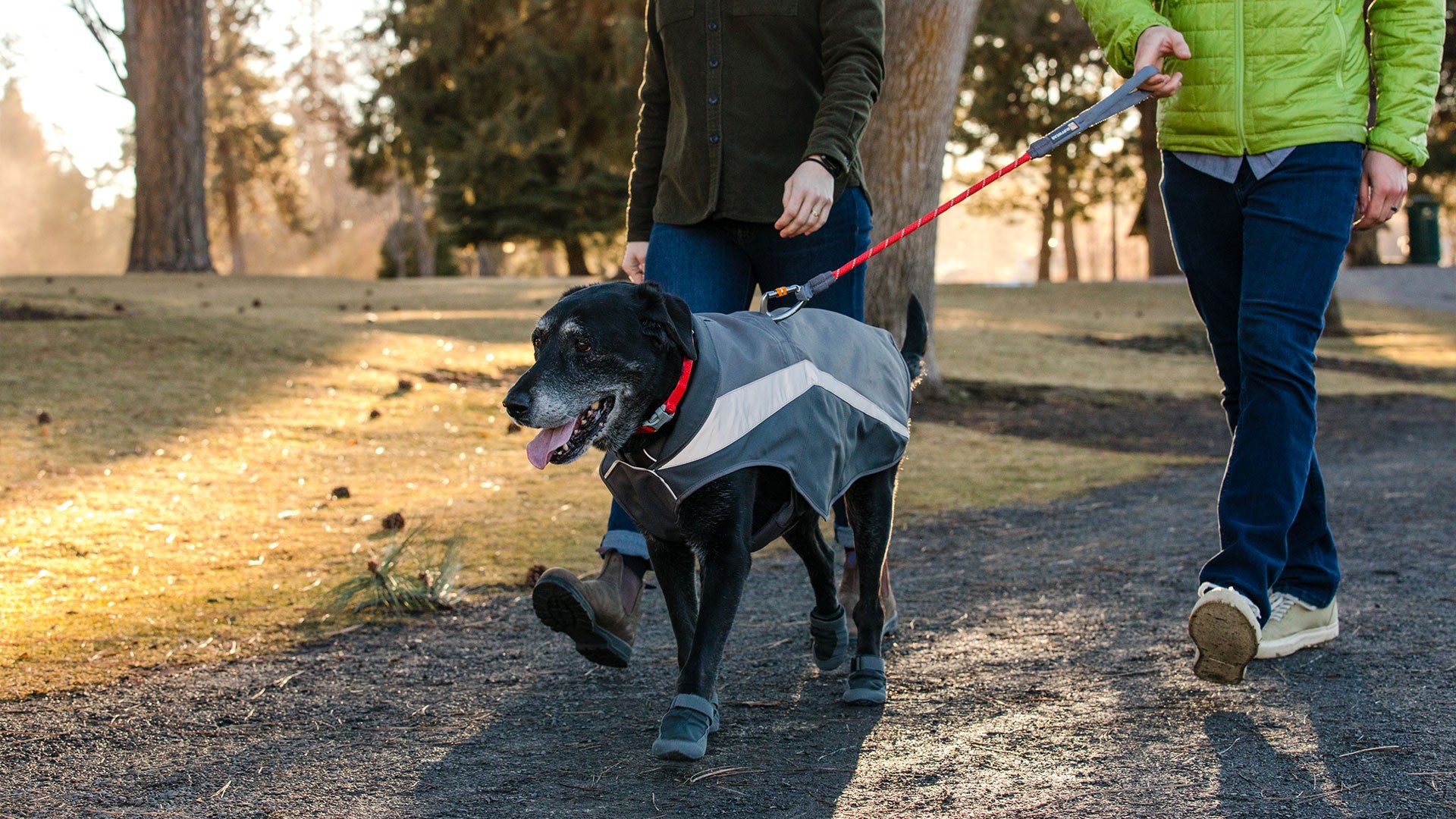 Hi vis store waterproof dog coat