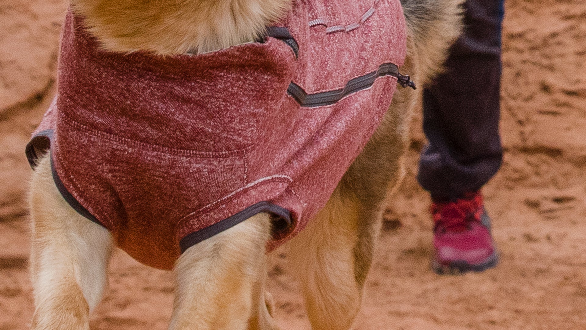 Hemp Hound™ Dog Sweater | Ruffwear