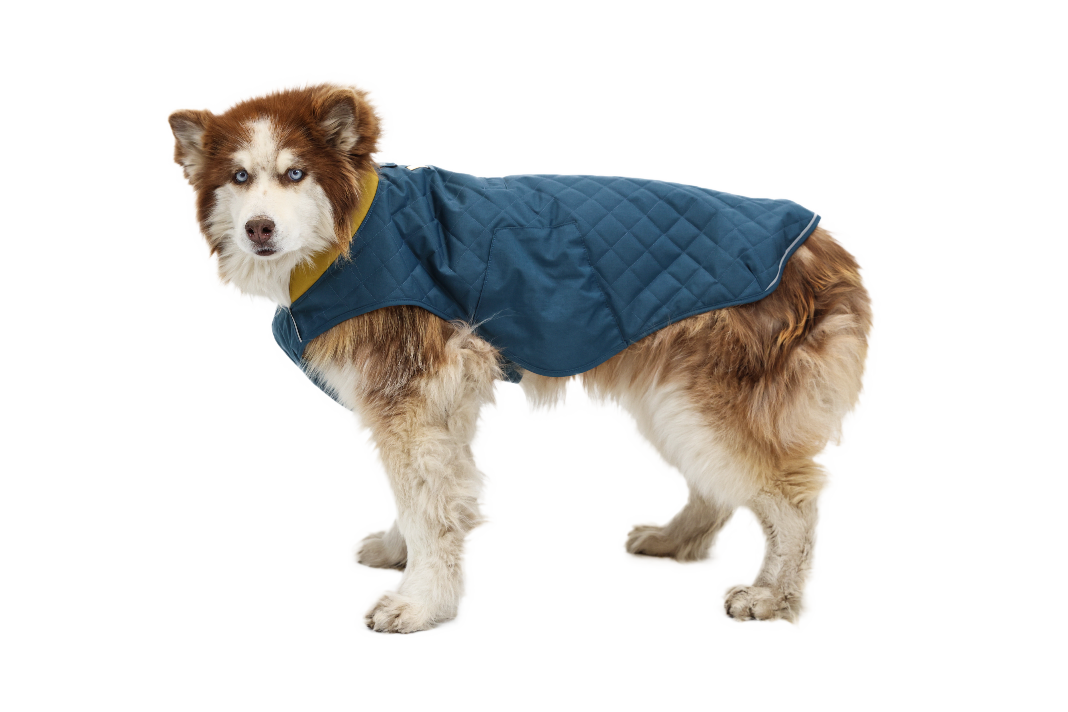 Ruffwear stumptown best sale insulated dog jacket