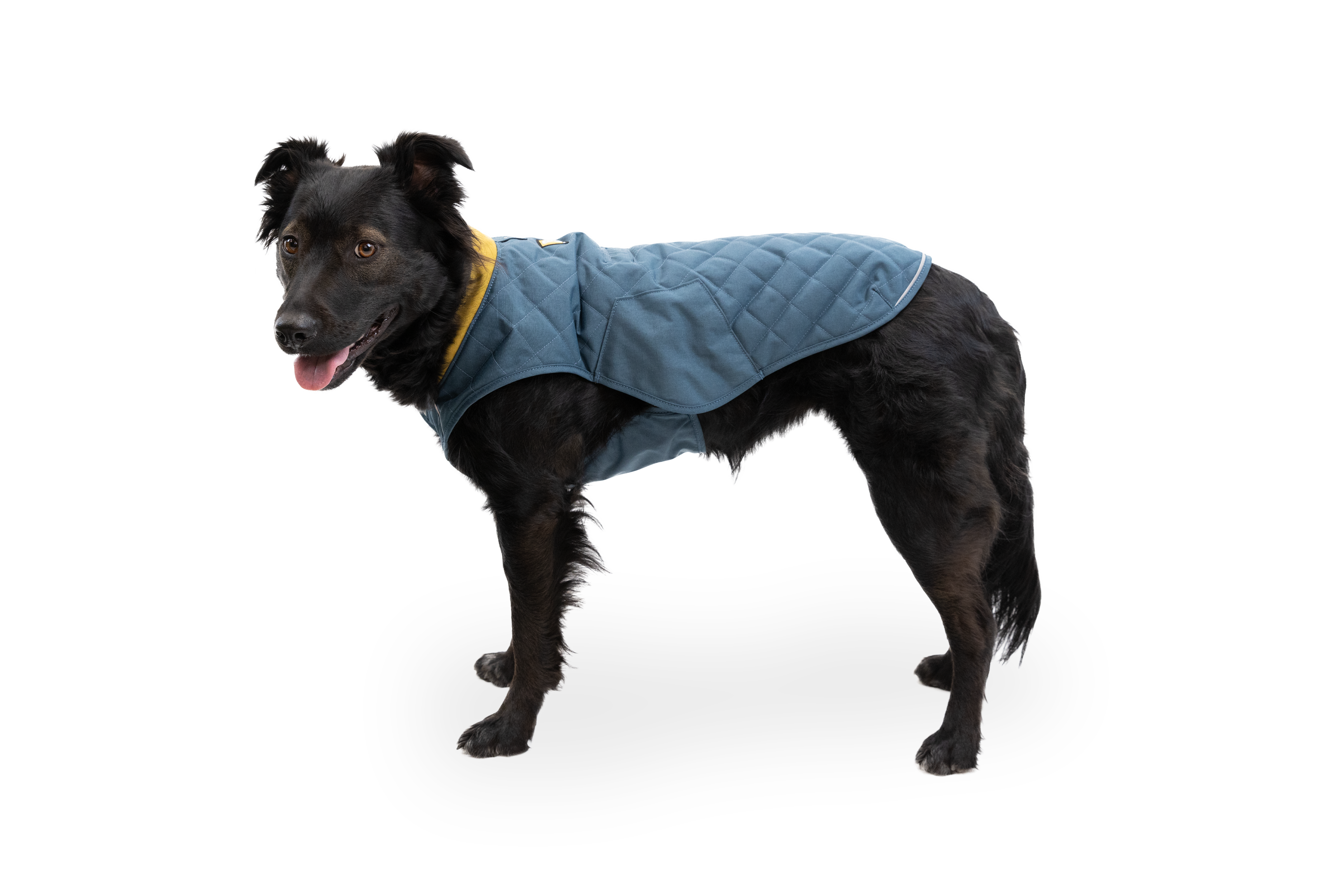 Stumptown™ Quilted Dog Coat | Ruffwear