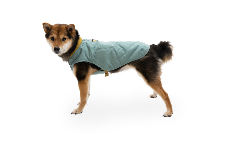 Ruffwear stumptown online insulated dog jacket