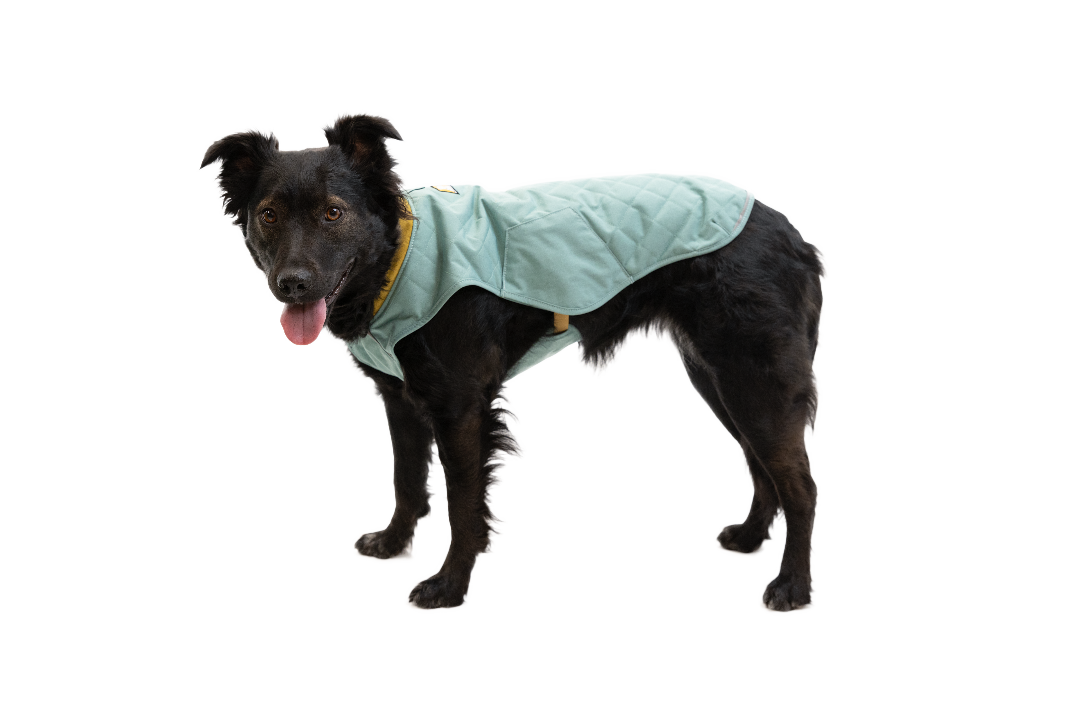 Stumptown Quilted Dog Coat Ruffwear