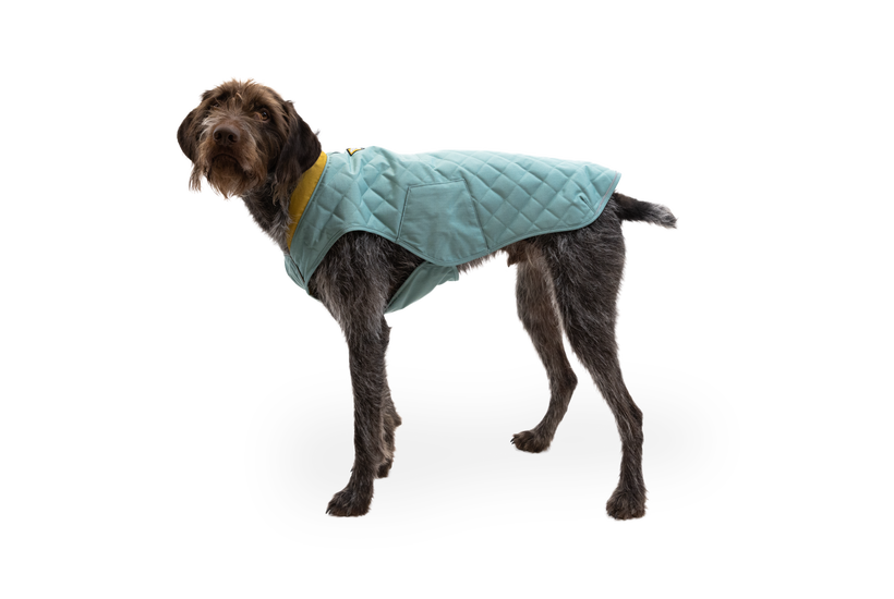 Dog 2024 quilted vest