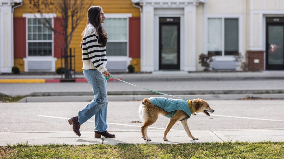 Stumptown Quilted Dog Coat Ruffwear