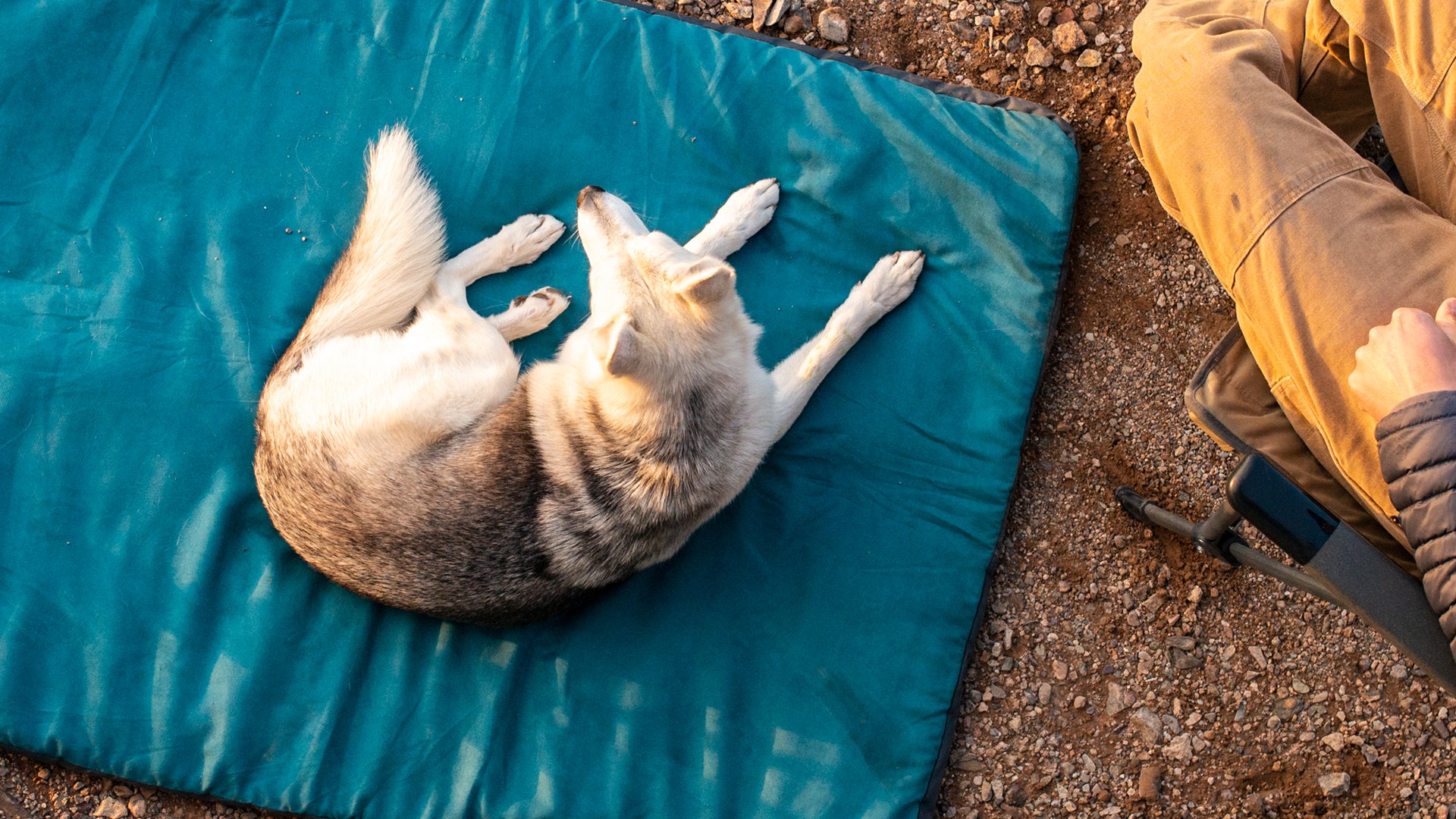 Mt. Bachelor Pad Portable Dog Camping Bed Ruffwear