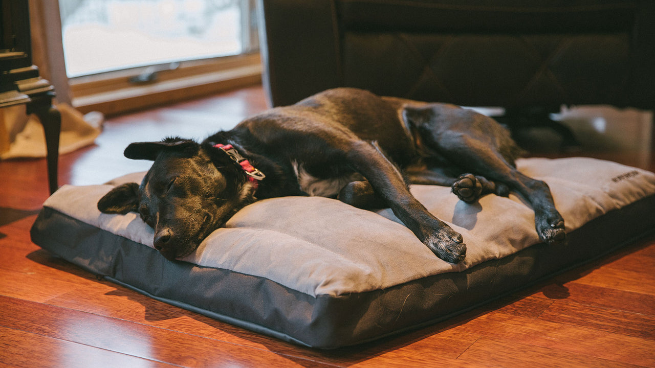 Restcycle™ Dog Bed Nesting Warmth & Comfort Ruffwear