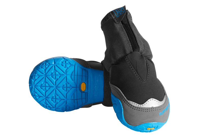 Polar Trex™ Winter Dog