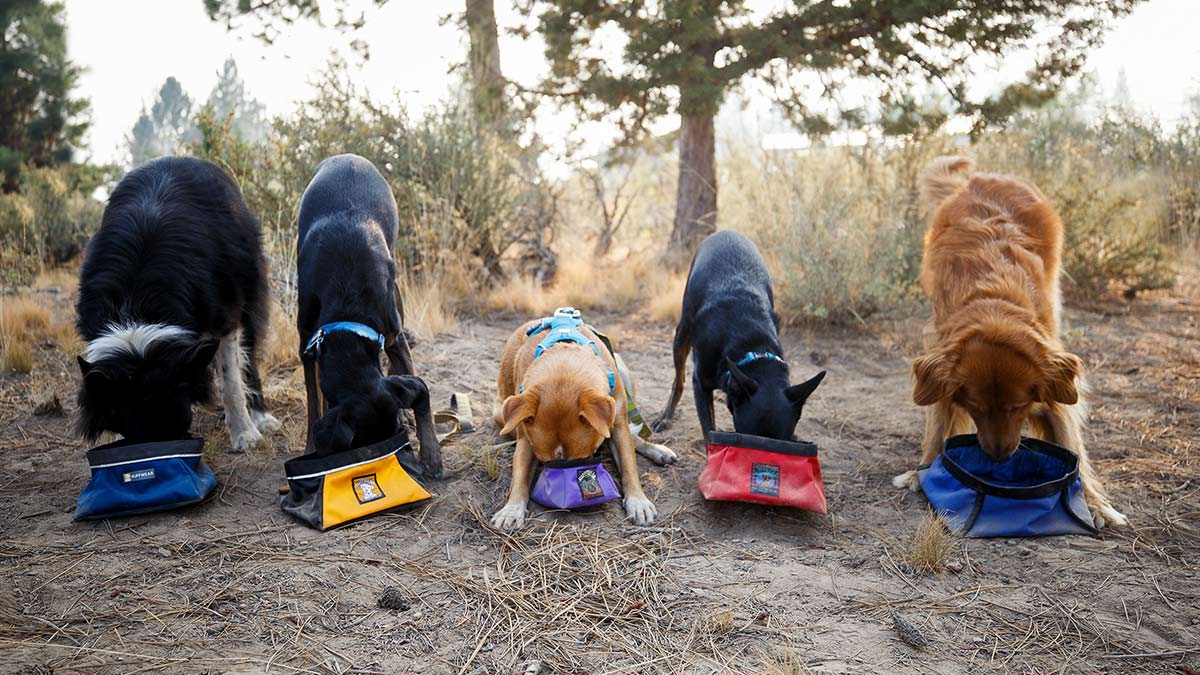 Welcome Ruffwear