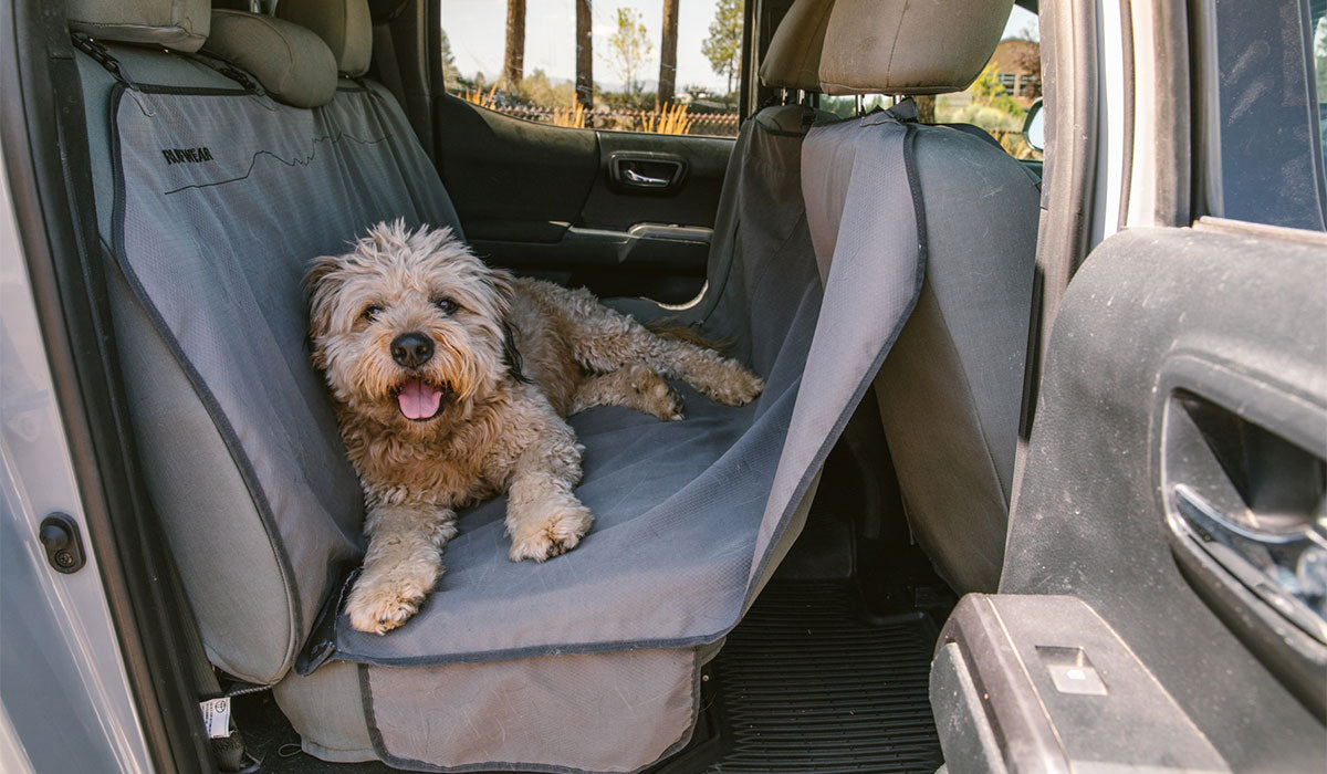 Car canopy outlet for dogs