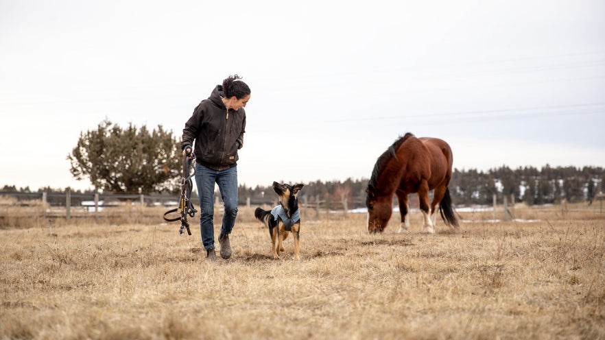 Distributors Represented in the following countries Ruffwear