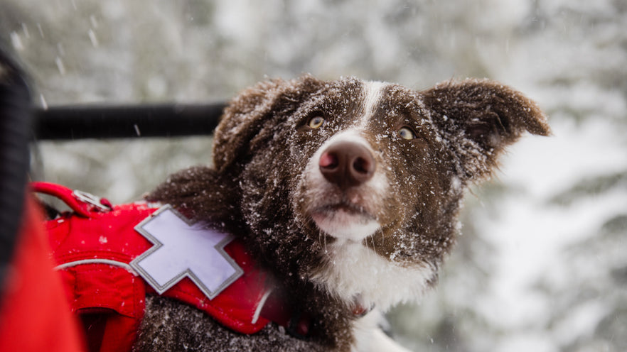 Partners Working together for a better tomorrow Ruffwear