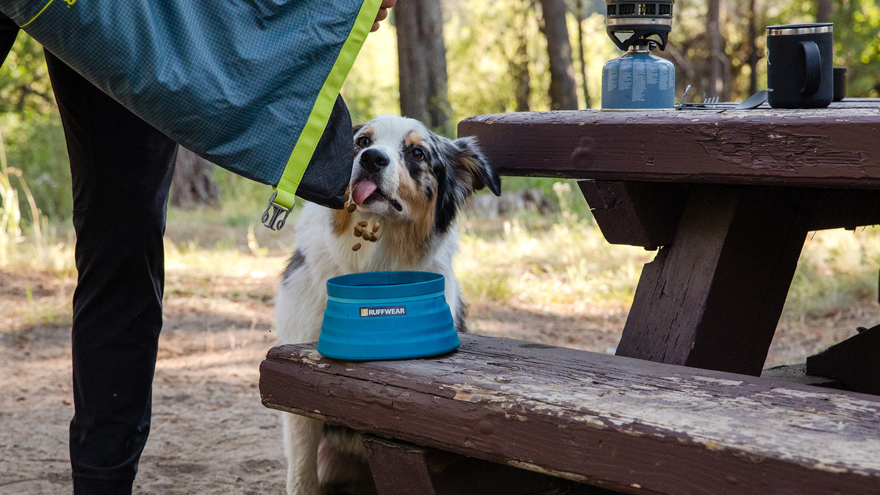 Bivy™ Collapsible Dog Bowl