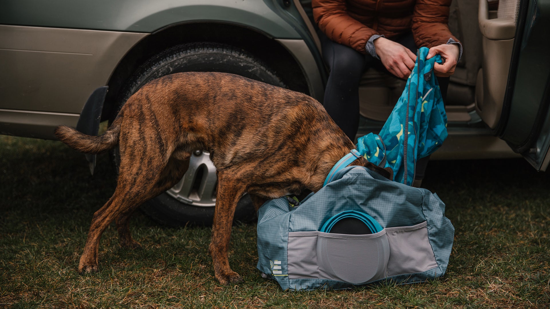 Dog 2024 bivvy tent