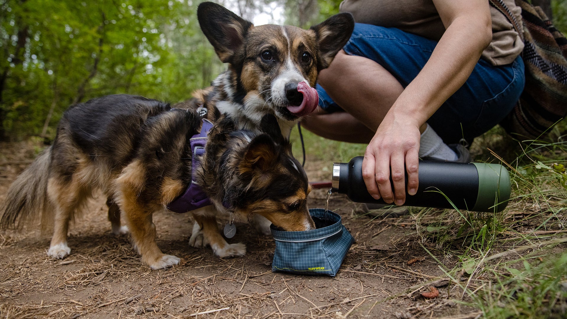 Great Basin Dog Bowl Ruffwear