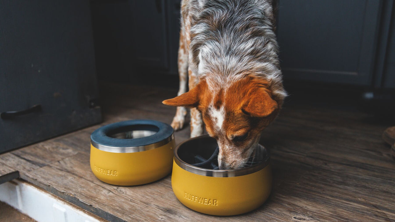 Basecamp Slow Feeder accesorio seguro para plato - Ruffwear