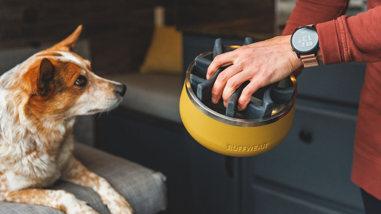 Basecamp Slow Feeder fácil de limpiar - Ruffwear
