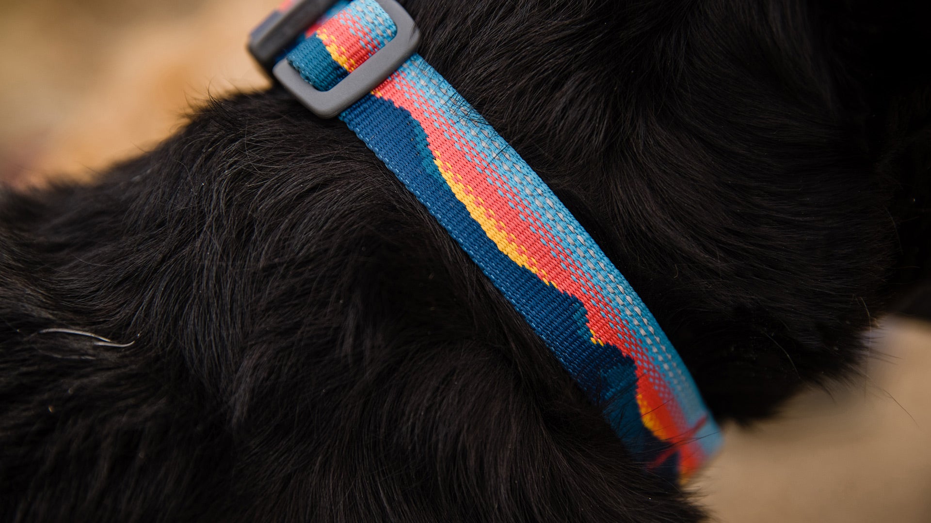 Top Rope Dog Collar Metal Buckle Strong Comfortable Webbing