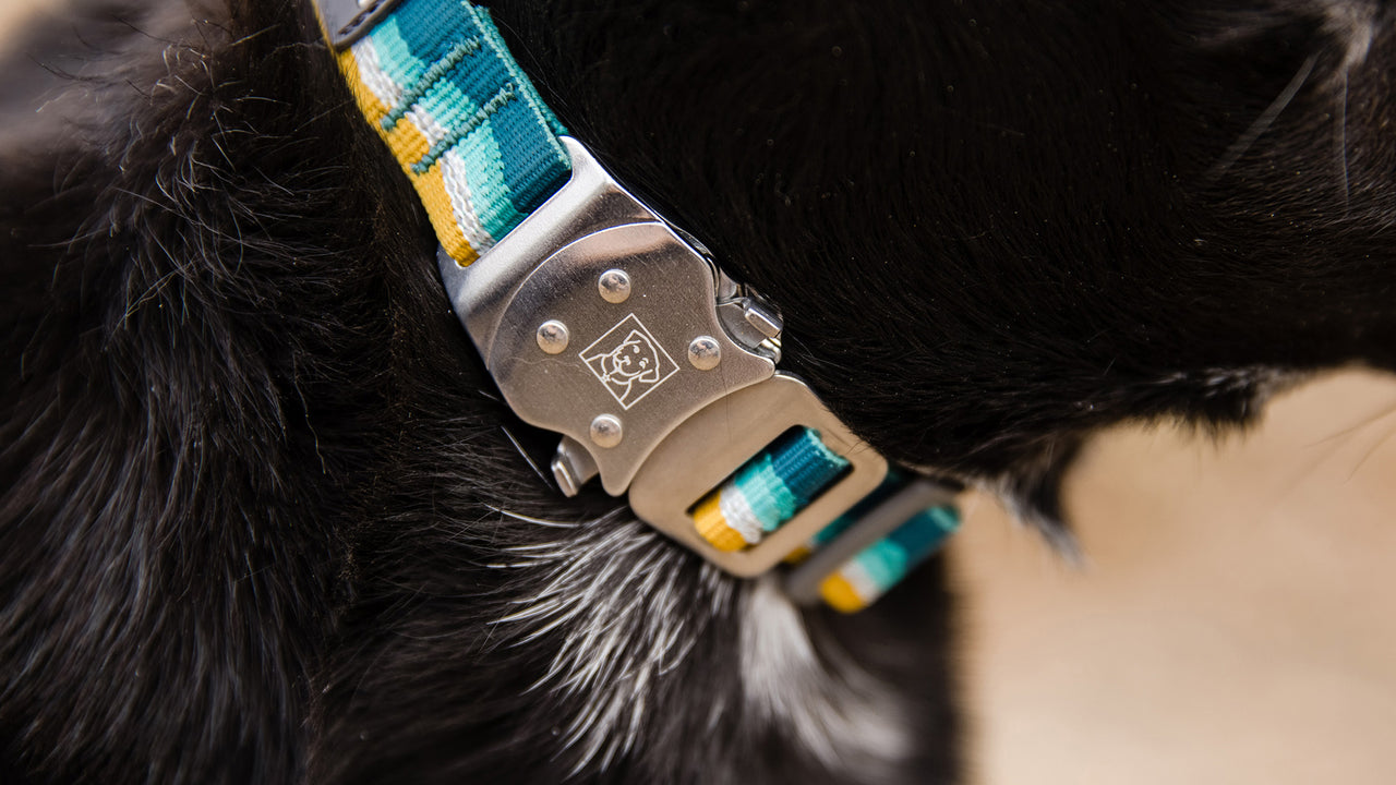 Small Dog Collar Leash Metal Buckle Hardware Sets Straps Swivel Pet  Accessor,ou