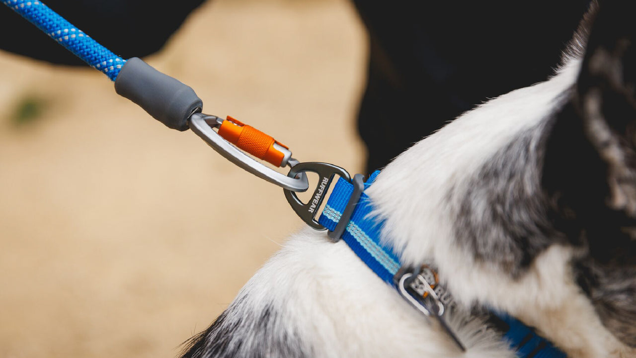 Aluminum V-ring for secure leash connection