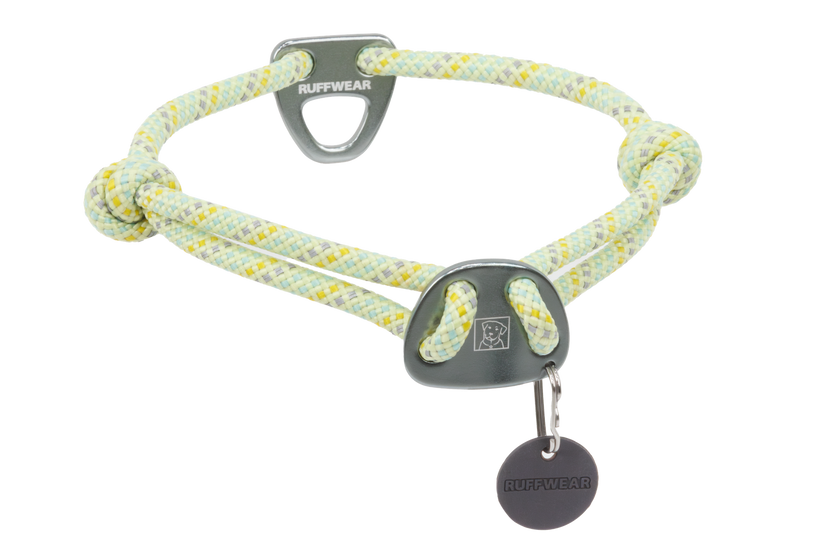 Extra collar with ID tag