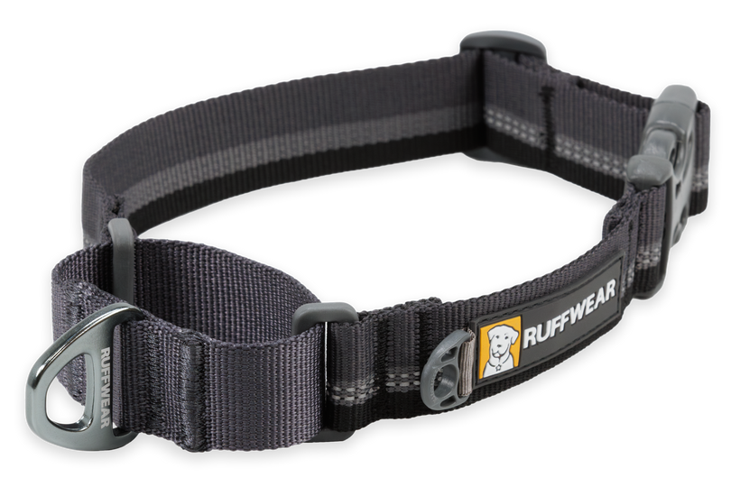 Cool martingale dog 2024 collars