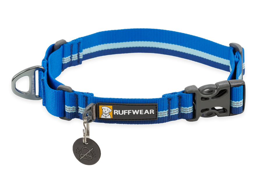 Widespread panic dog sales collar