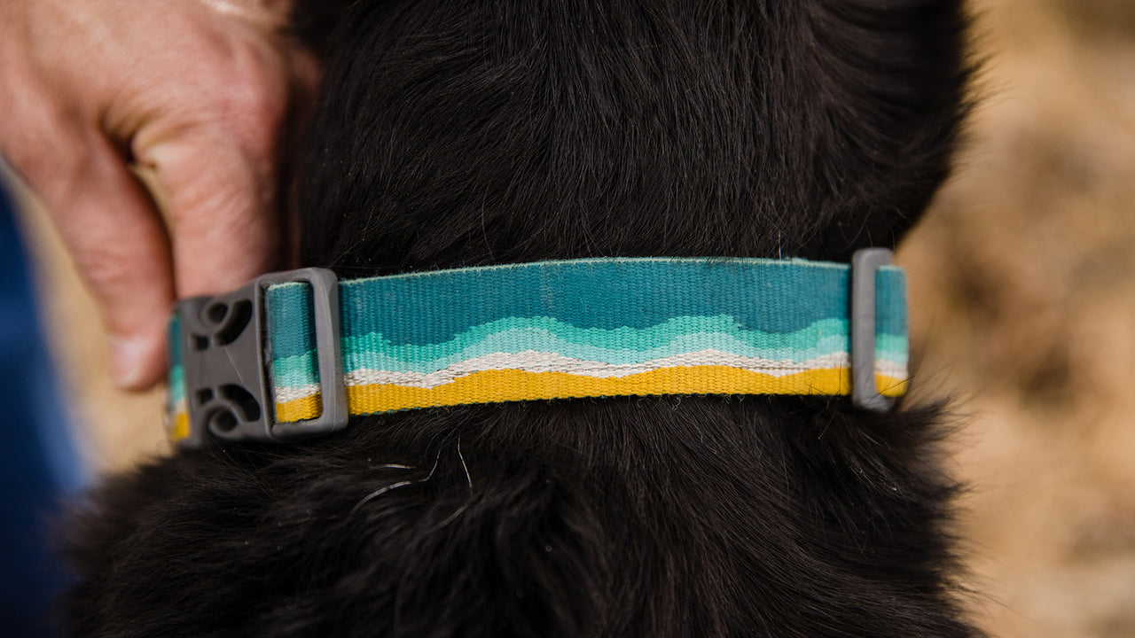 Ruffwear Crag Dog Collar  Outdoor Running Dog Collar and Leash NZ –  Further Faster