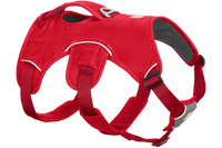 RP - Web Master™ Dog Harness with Handle