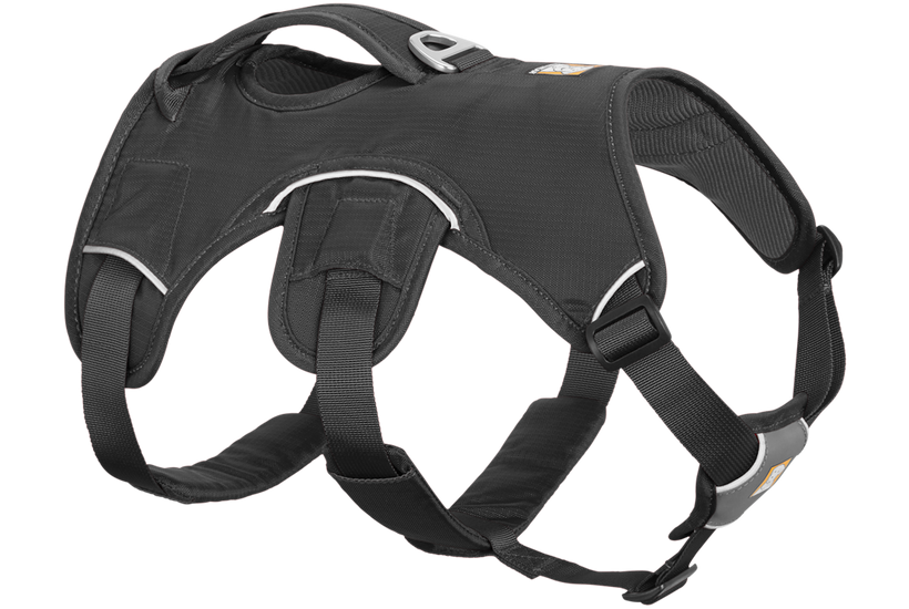 RP - Web Master™ Dog Harness with Handle