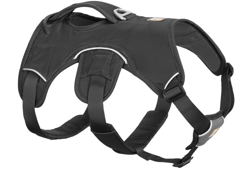 RP - Web Master™ Dog Harness with 