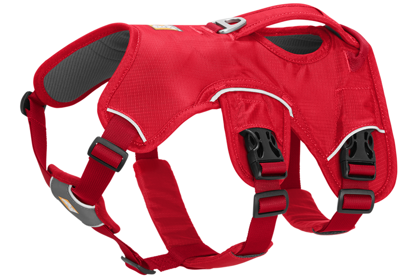 RP - Web Master™ Dog Harness with 