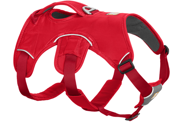 Web Master™ Reflective Dog Harness