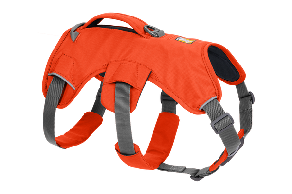 Web Master™ Dog Harness
