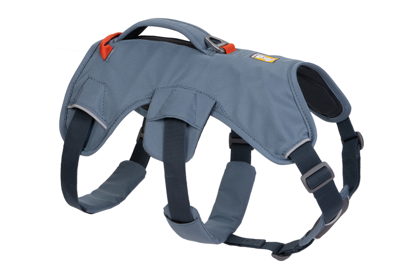 Dog harness avalanche online