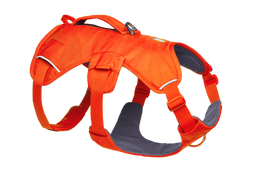 Web Master™ Dog Harness with Handle - image 1