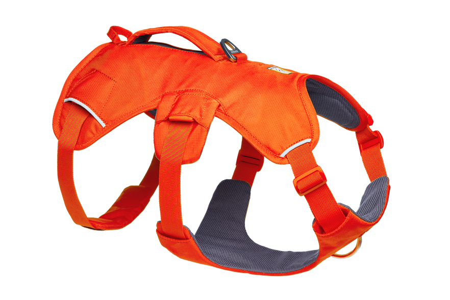 Ruffwear Web Master Dog Harness in Blaze Orange, matching Chewy option #1