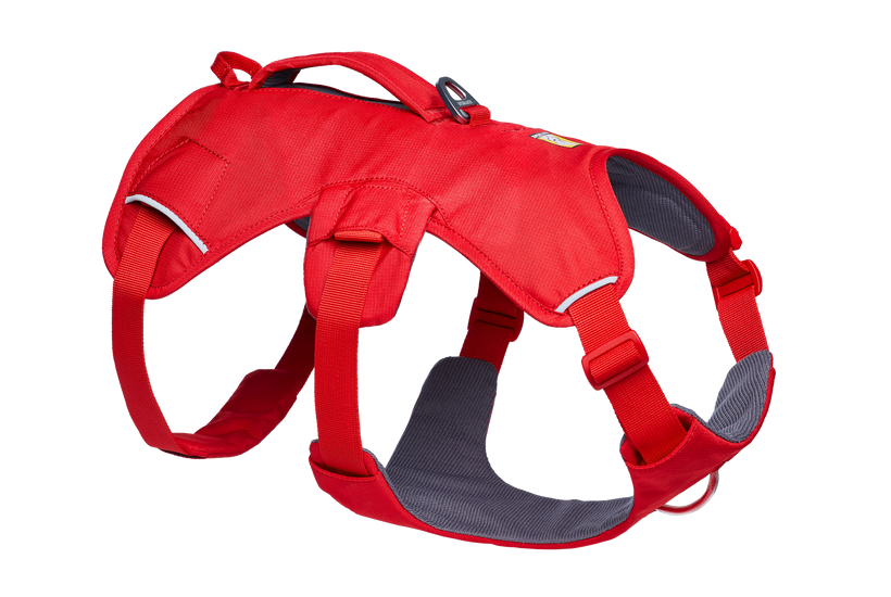 Web Master™ Dog Harness with 