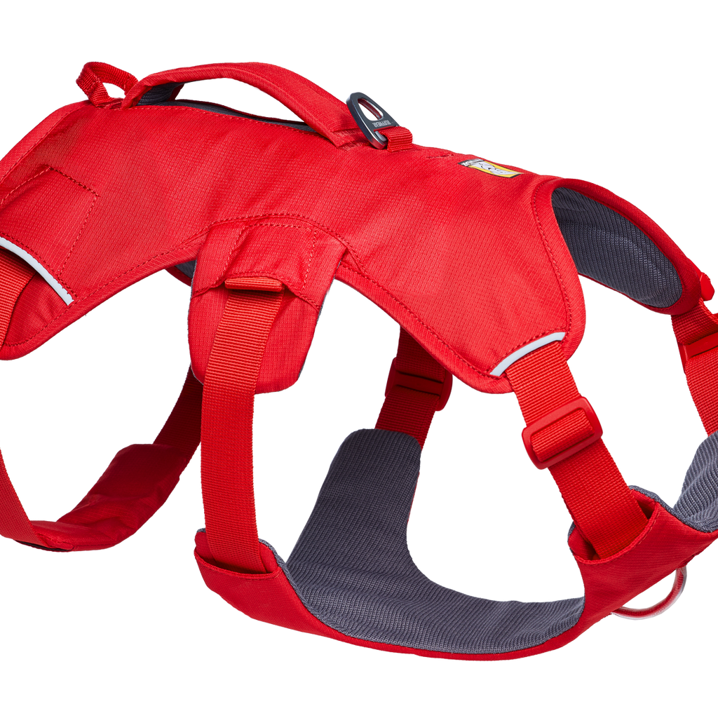Web Master™ Dog Harness with Handle Ruffwear