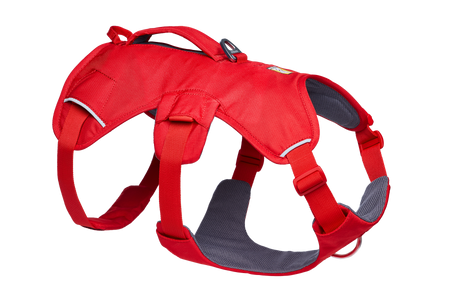 Web Master™ Dog Harness with Handle | Ruffwear