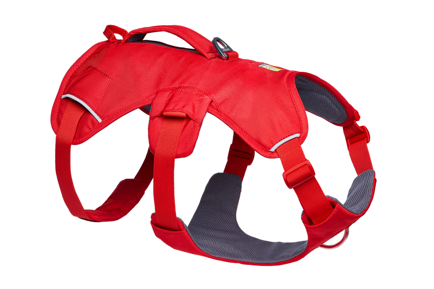 Web Master™ Dog Harness with Handle | Ruffwear